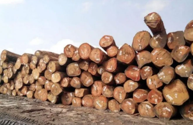 Where Does Mahogany Wood Come From